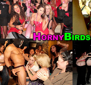 Horny Birds